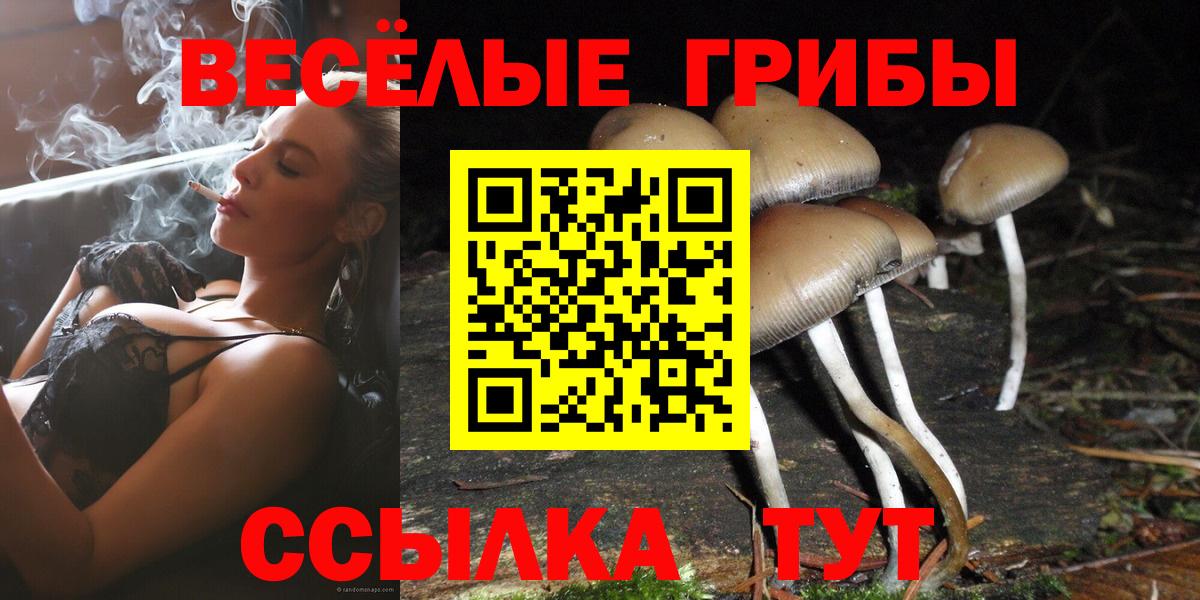 Галлюциногенные грибы Cubensis Ржев