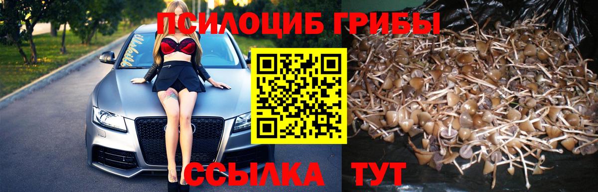 Галлюциногенные грибы ЛСД  Псилоцибиновые грибы Psilocybine cubensis  наркошоп  Вход с VPN  Ржев 